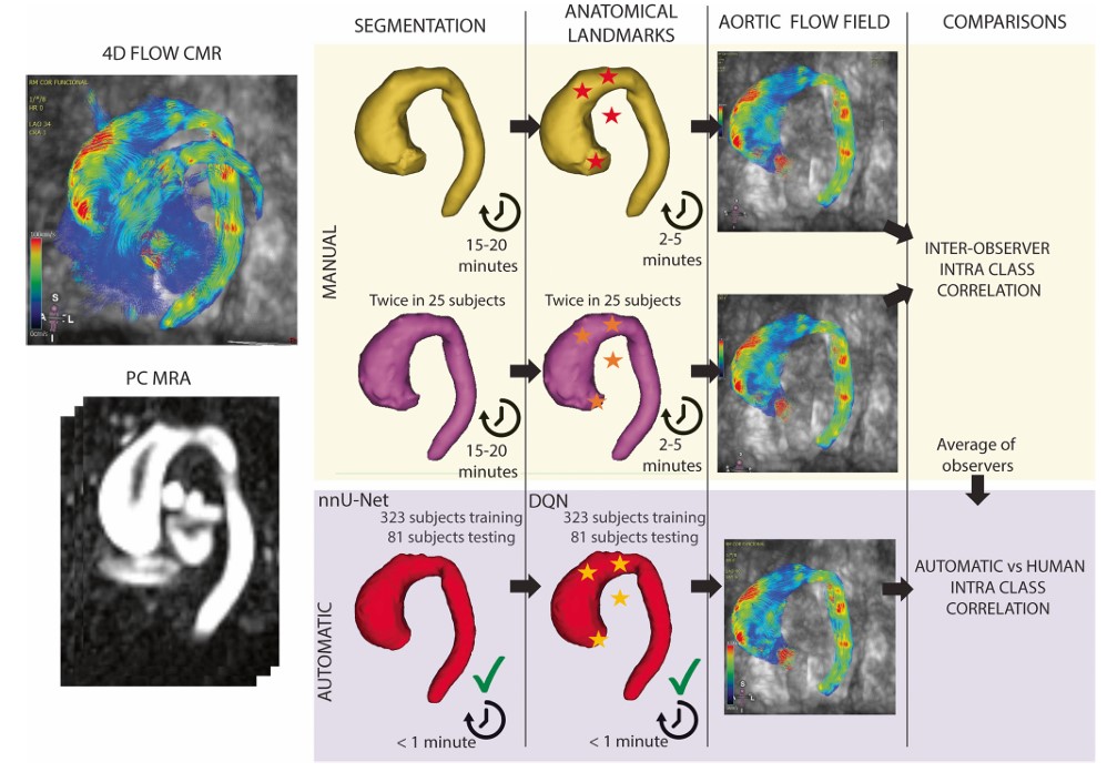 GarridoOliver_EurRadiol_2022